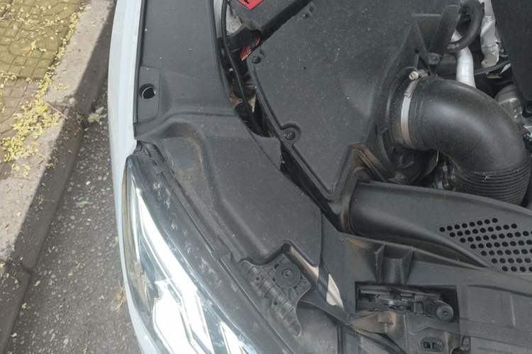 Used Audi A4 2021 Avant 40 TFSI Pioneer Star Edition Engine Bay Right