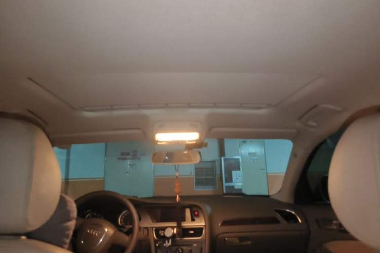 Used Audi A4L 2009 2.0 TFSI Standard Model Headliner