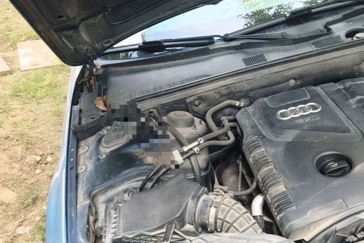 Used Audi A4L 2010 2.0 TFSI Technology Edition Engine Bay Right