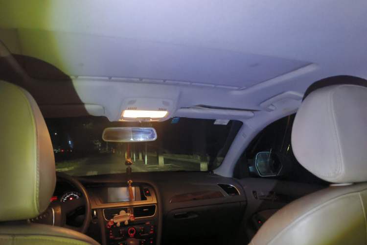 Used Audi A4L 2010 2.0 TFSI Comfort Edition Headliner