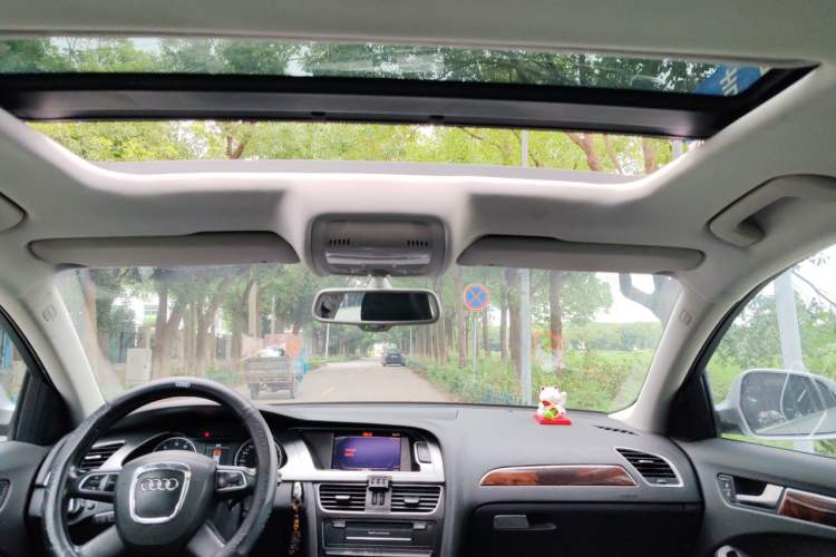 Used Audi A4L 2011 2.0 TFSI Technology Edition Headliner