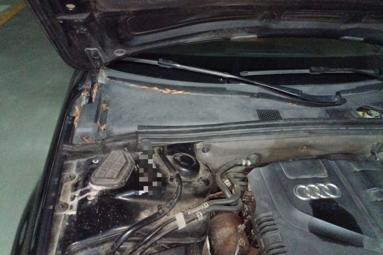 Used Audi A4L 2013 35 TFSI Automatic Standard Model Engine Bay Right