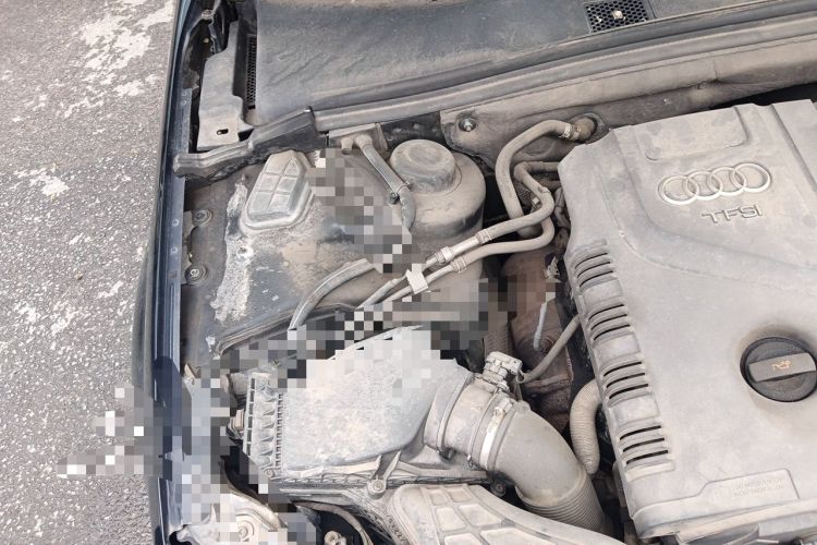 Used Audi A4L 2013 35 TFSI Automatic Standard Model Engine Bay Right