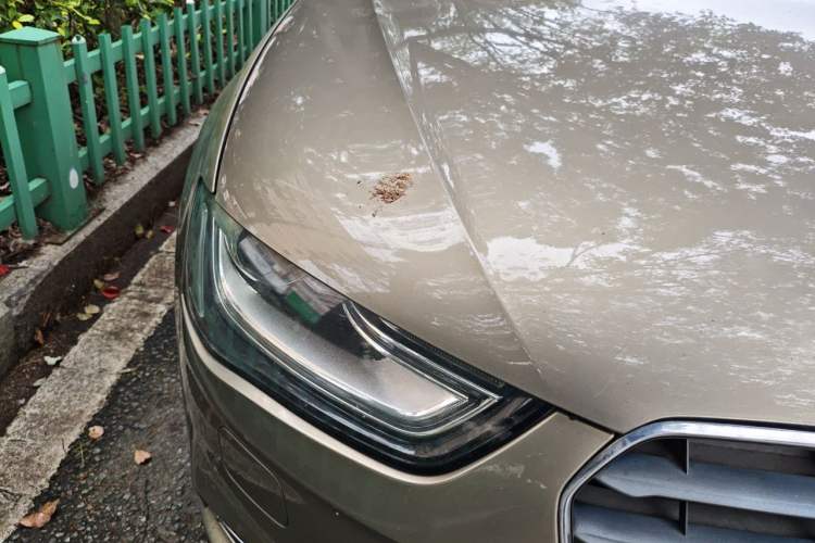 Used Audi A4L 2013 35 TFSI Automatic Standard Model Right Front Headlight