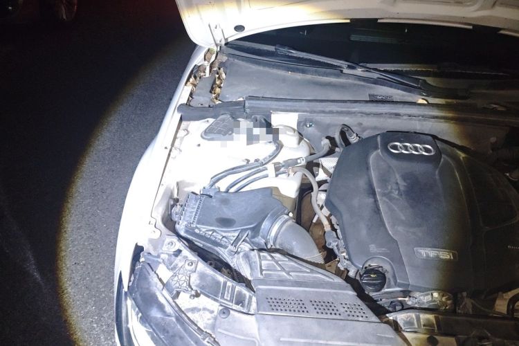 Used Audi A4L 2015 35 TFSI Automatic Standard Model Engine Bay Right