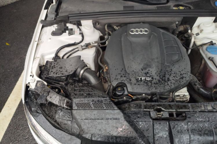 Used Audi A4L 2015 35 TFSI Automatic Luxury Edition Engine Bay Right