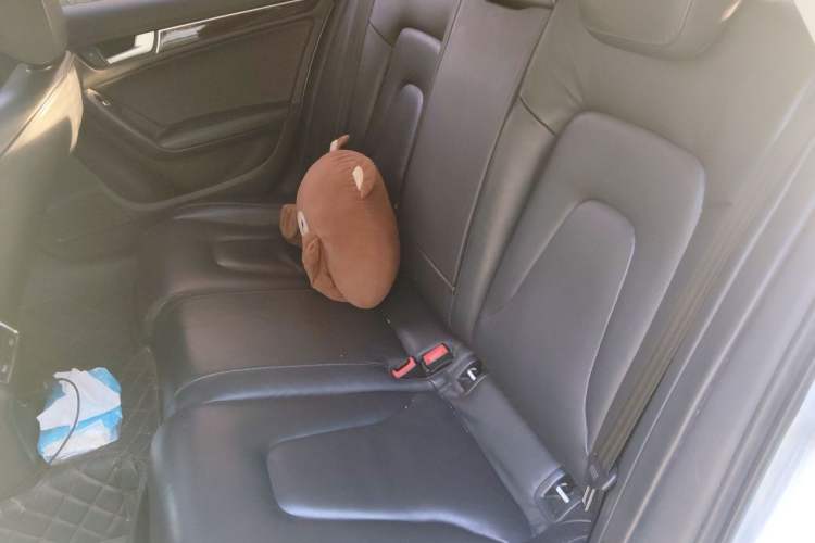 Used Audi A4L 2015 35 TFSI Automatic Comfort Model Left Rear Seat