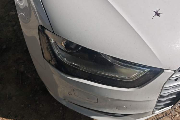 Used Audi A4L 2015 35 TFSI Automatic Comfort Model Right Front Headlight