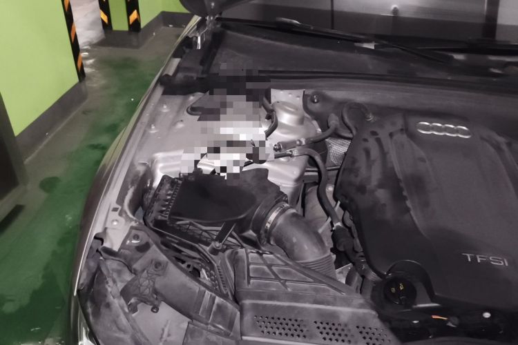 Used Audi A4L 2016 45 TFSI Collection Edition quattro Personalized Sports Model Engine Bay Right