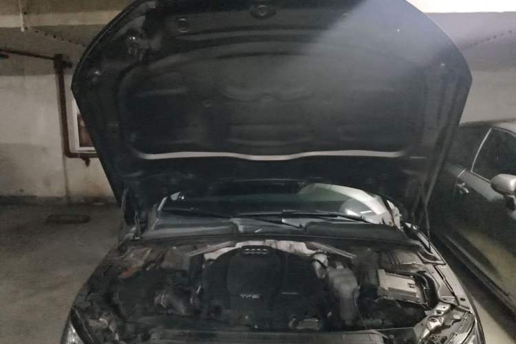 Used Audi A4L 2017 40 TFSI Style Edition Engine Bay