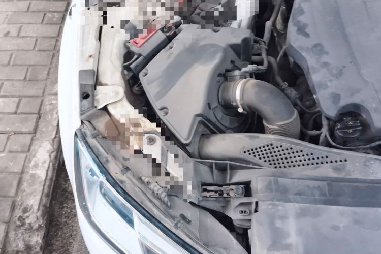 Used Audi A4L 2017 Plus 40 TFSI Ambition Model Engine Bay Right