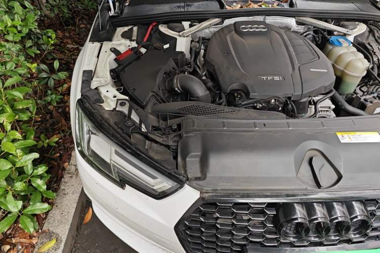 Used Audi A4L 2017 Plus 40 TFSI Style Edition Engine Bay Right