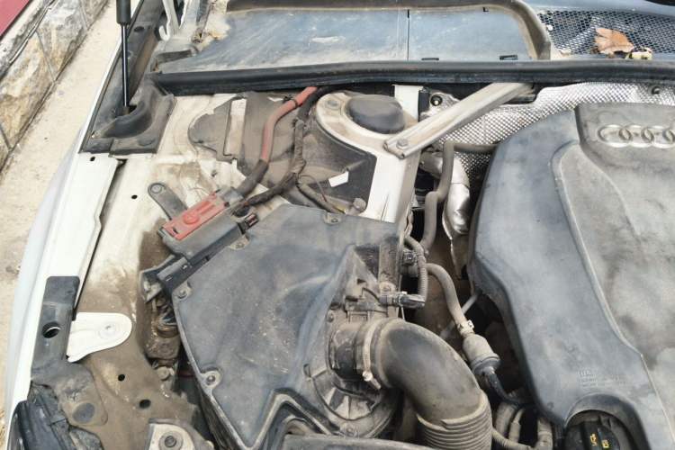 Used Audi A4L 2017 40 TFSI Style Edition Engine Bay Right