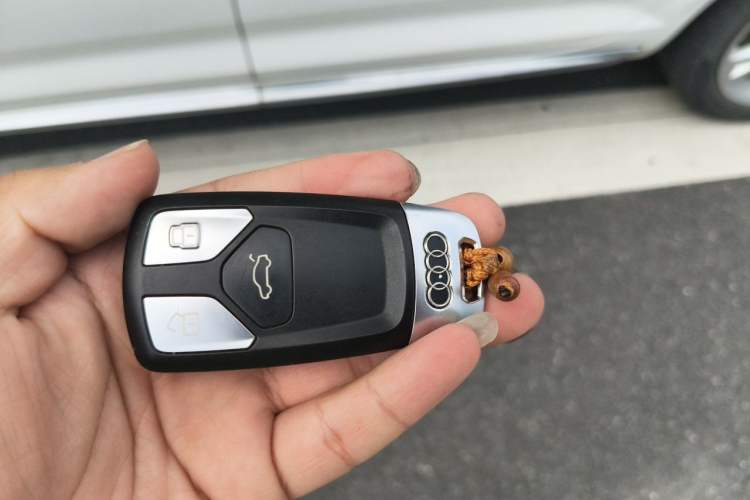 Used Audi A4L 2017 Plus 40 TFSI Fashion Model Vehicle Key