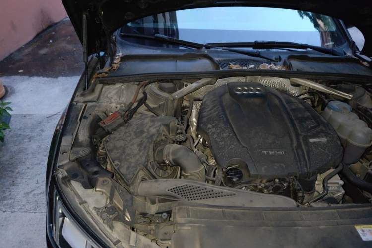 Used Audi A4L 2018 30th Anniversary Edition 40 TFSI Fashion Model Engine Bay Right