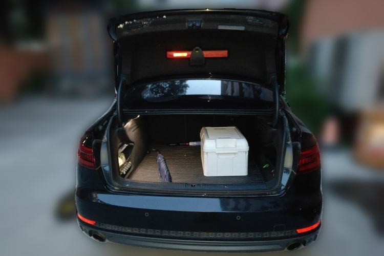 Used Audi A4L 2018 30th Anniversary Edition 40 TFSI Fashion Model Trunk