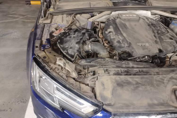 Used Audi A4L 2018 30th Anniversary Edition 40 TFSI Trendy Model Engine Bay Right