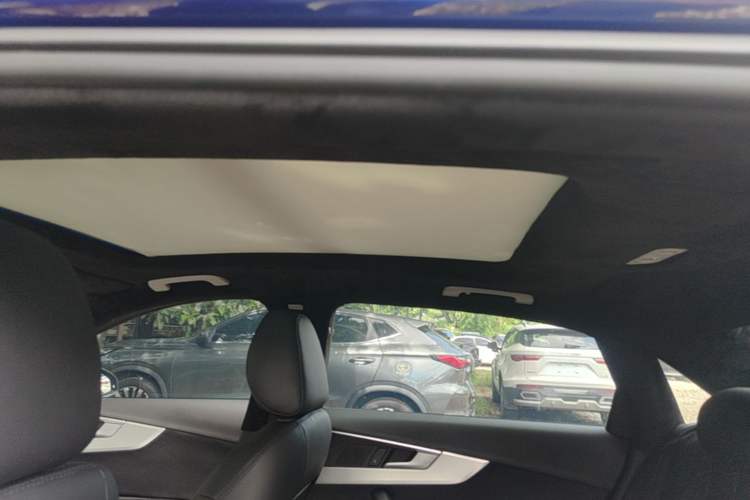 Used Audi A4L 2018 30th Anniversary Edition 40 TFSI Fashion Model Headliner