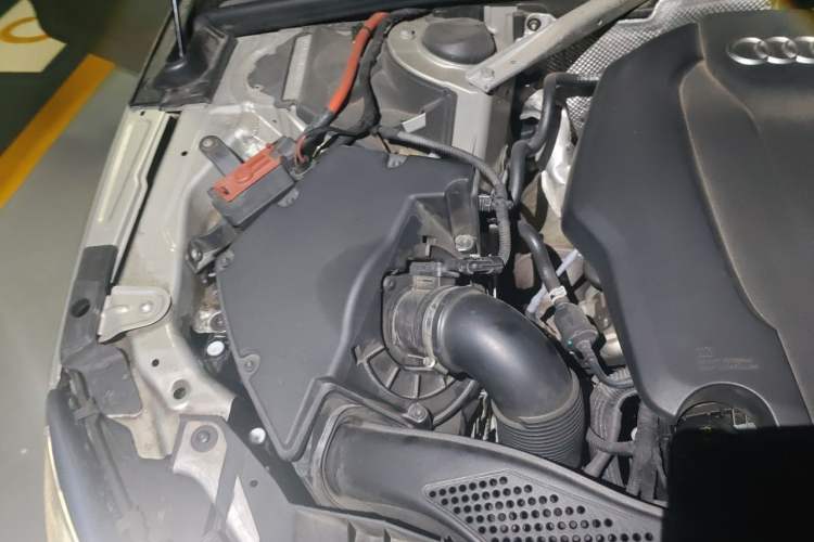 Used Audi A4L 2018 30th Anniversary Edition 40 TFSI Trendy Model Engine Bay Right