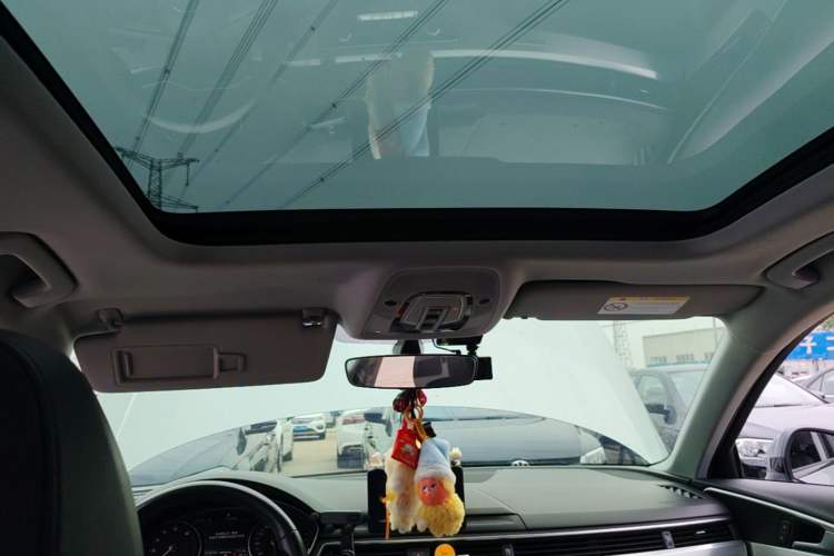 Used Audi A4L 2018 30th Anniversary Edition 45 TFSI quattro Individual Sport Edition Headliner