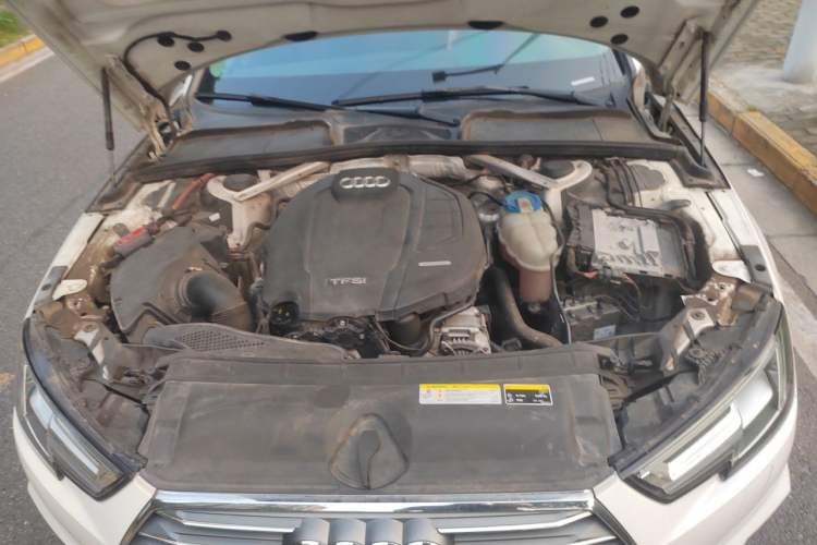 Used Audi A4L 2018 30th Anniversary Edition 45 TFSI quattro Individual Sport Edition Engine Bay