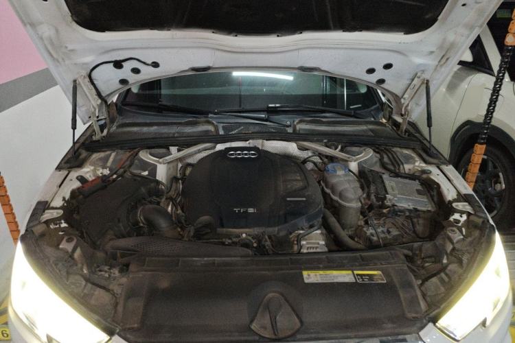 Used Audi A4L 2018 30th Anniversary Edition 40 TFSI Fashion Model Engine Bay