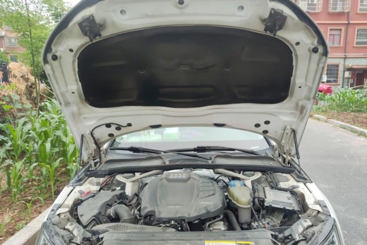 Used Audi A4L 2018 30th Anniversary Edition 40 TFSI Fashion Model Engine Bay