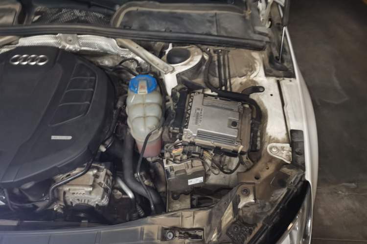Used Audi A4L 2018 30th Anniversary Edition 40 TFSI Trendy Model Engine Bay Left