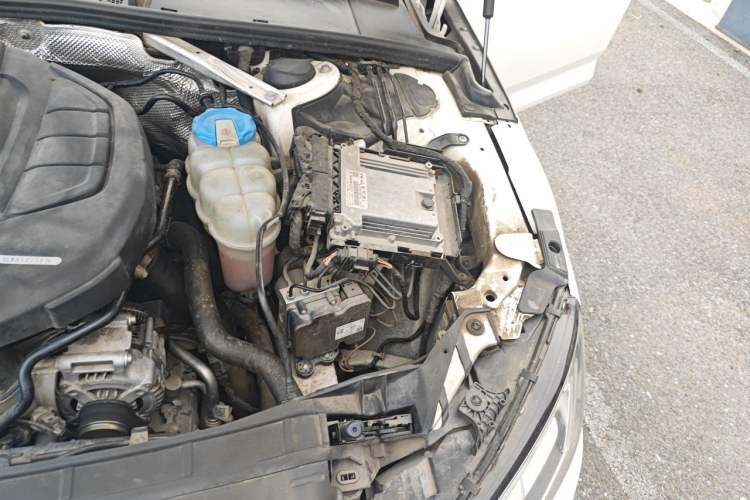 Used Audi A4L 2018 30th Anniversary Edition 40 TFSI Trendy Model Engine Bay Left