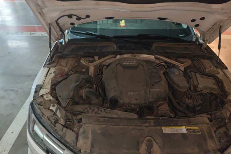 Used Audi A4L 2018 30th Anniversary Edition 40 TFSI Fashion Model Engine Bay Right