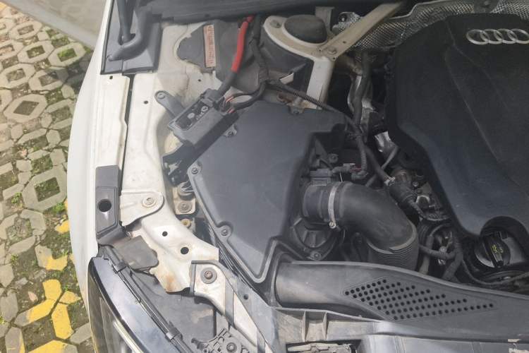 Used Audi A4L 2018 30th Anniversary Edition 40 TFSI Trendy Model Engine Bay Right