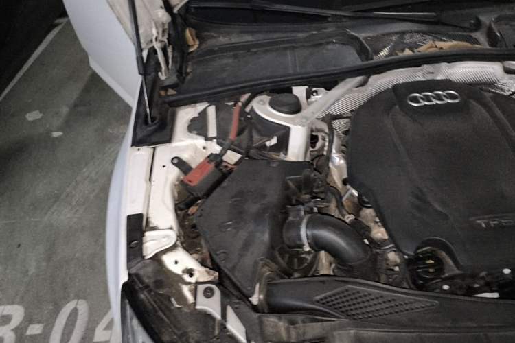 Used Audi A4L 2018 30th Anniversary Edition 40 TFSI Fashion Model Engine Bay Right