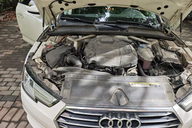 Used Audi A4L 2018 30th Anniversary Edition 40 TFSI Trendy Model Engine Bay Right