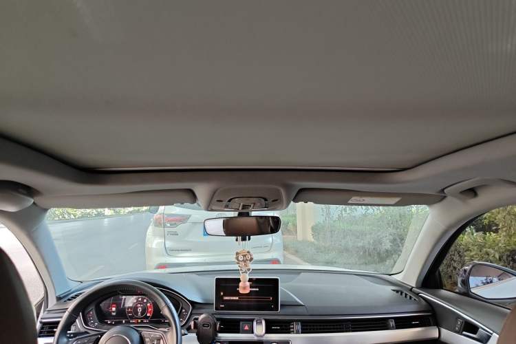 Used Audi A4L 2018 30th Anniversary Edition 40 TFSI Fashion Model Headliner