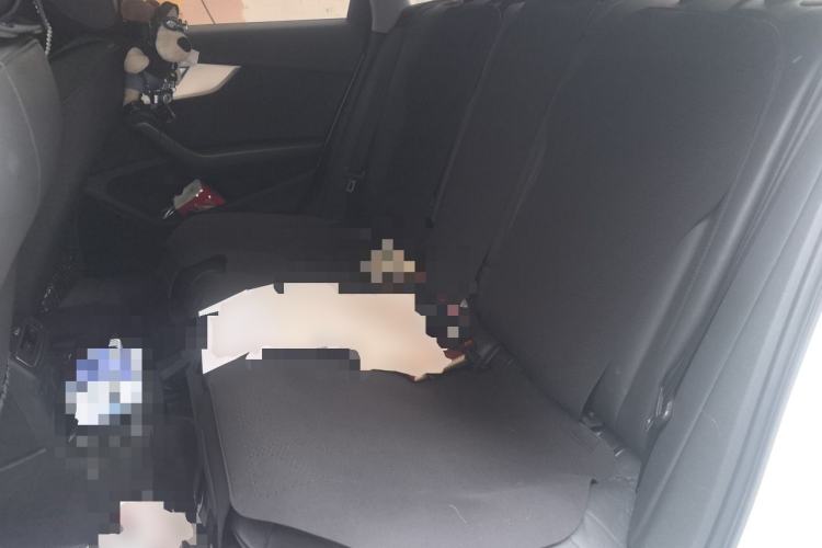Used Audi A4L 2018 30th Anniversary Edition 40 TFSI Fashion Model Left Rear Seat