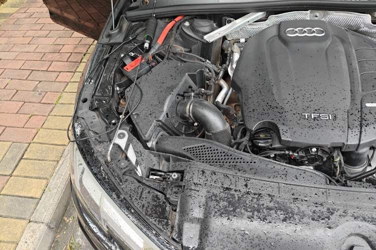 Used Audi A4L 2019 40 TFSI Fashion Edition China VI Emission Standard Engine Bay Right