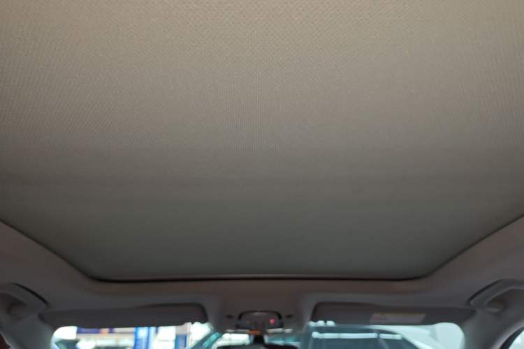 Used Audi A4L 2019 40 TFSI Ambition China VI Headliner