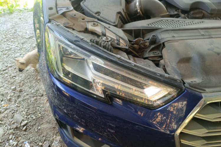 Used Audi A4L 2019 40 TFSI Fashion Version China V Right Front Headlight
