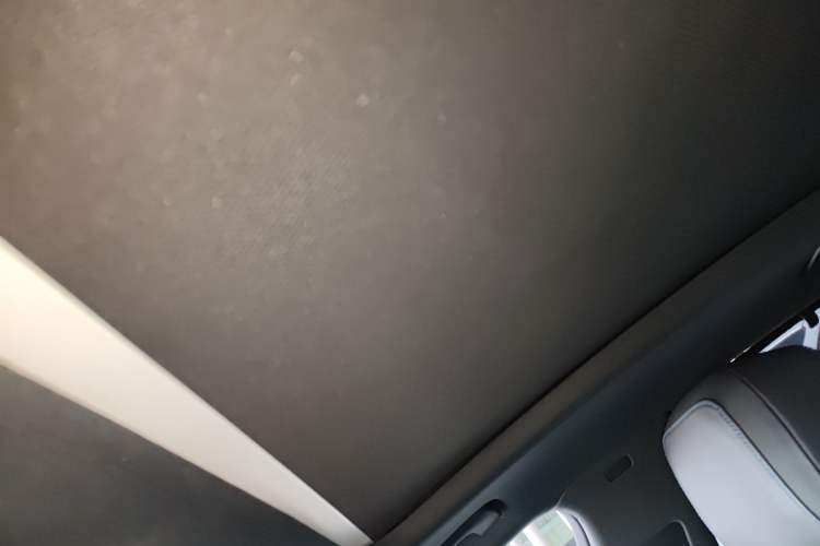 Used Audi A4L 2019 40 TFSI Sporty Version China VI Headliner
