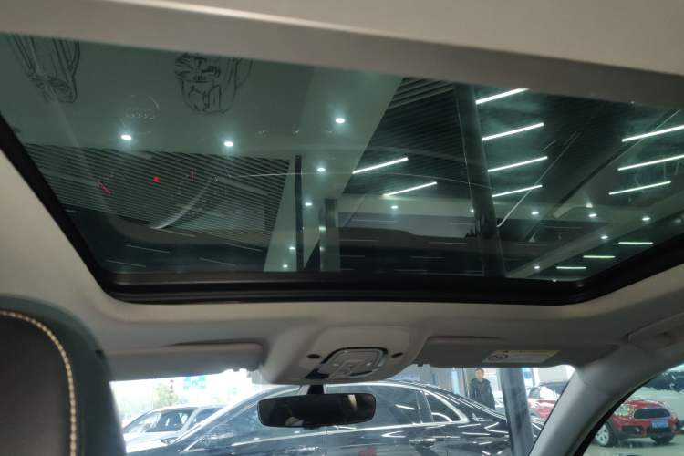 Used Audi A4L 2019 40 TFSI Ambition China VI Headliner