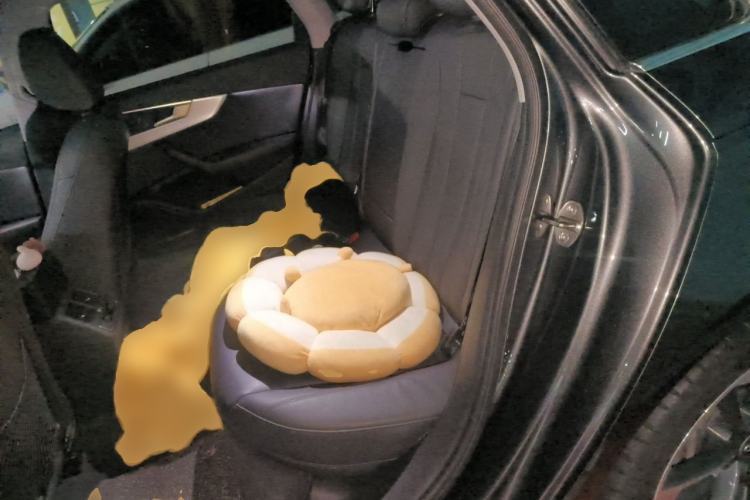 Used Audi A4L 2019 40 TFSI Fashion Edition China VI Emission Standard Left Rear Seat