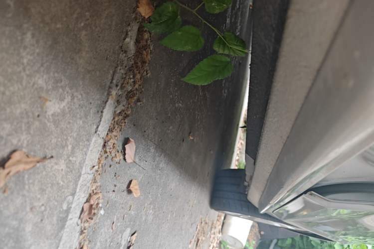 Used Audi A4L 2019 40 TFSI Fashion Edition China VI Emission Standard Left Side Sill