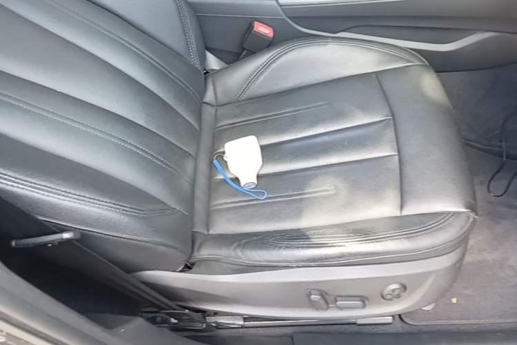 Used Audi A4L 2019 40 TFSI Ambition China VI Right Front Seat
