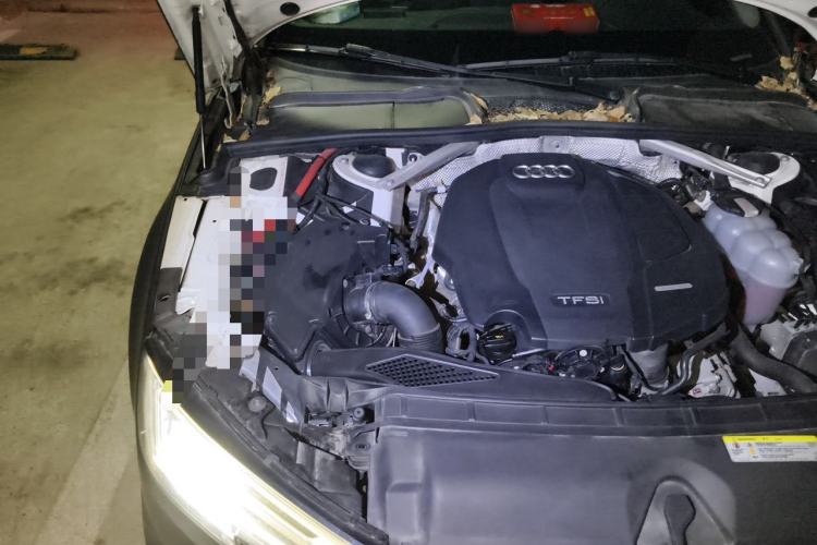 Used Audi A4L 2019 40 TFSI Fashion Edition China VI Emission Standard Engine Bay Right