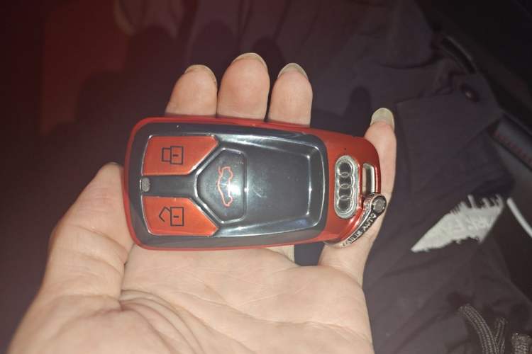 Used Audi A4L 2019 40 TFSI Ambition China VI Vehicle Key