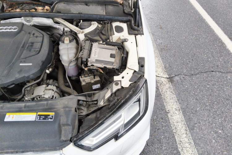 Used Audi A4L 2019 40 TFSI Ambition China VI Engine Bay Left