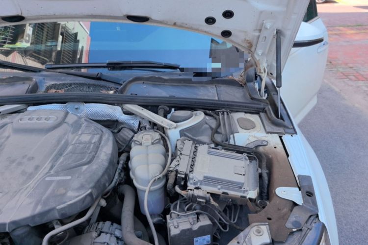 Used Audi A4L 2019 40 TFSI Ambition China VI Engine Bay Left