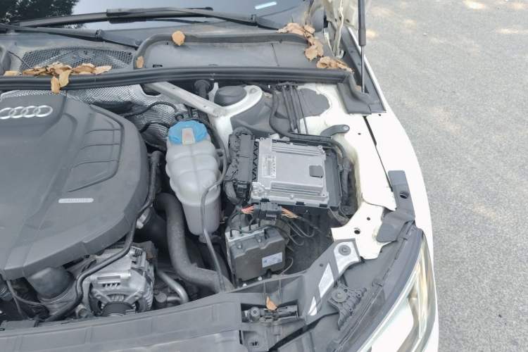 Used Audi A4L 2019 40 TFSI Fashion Version China V Engine Bay Left