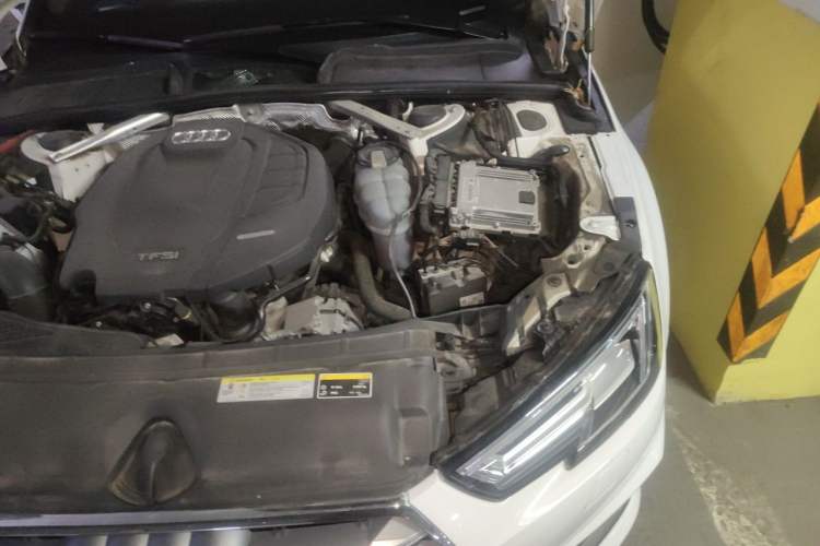 Used Audi A4L 2019 40 TFSI Fashion Edition China VI Emission Standard Engine Bay Left