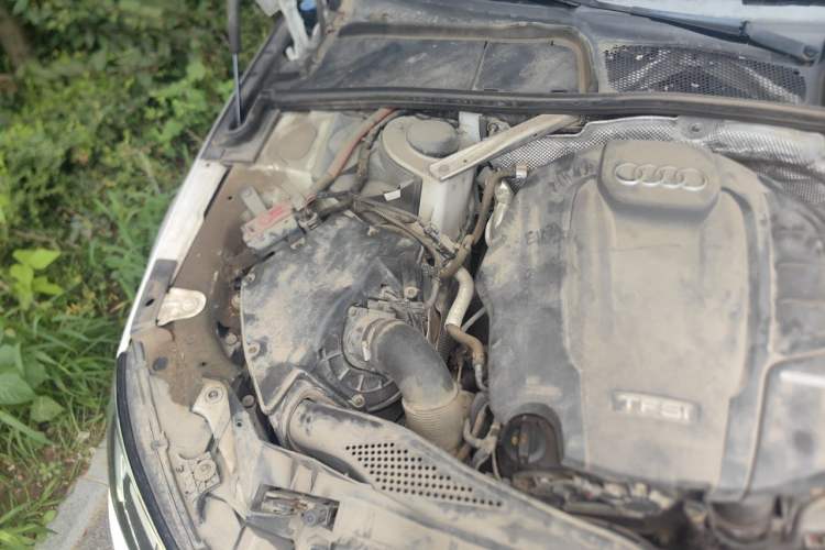 Used Audi A4L 2019 40 TFSI Fashion Edition China VI Emission Standard Engine Bay Right